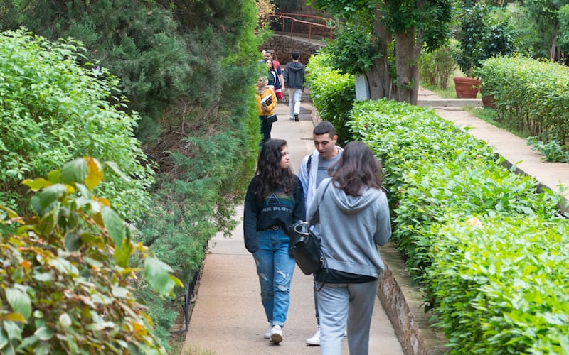 Students walking path beside university